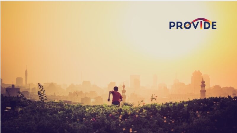 PROVIDEcrdmasthead