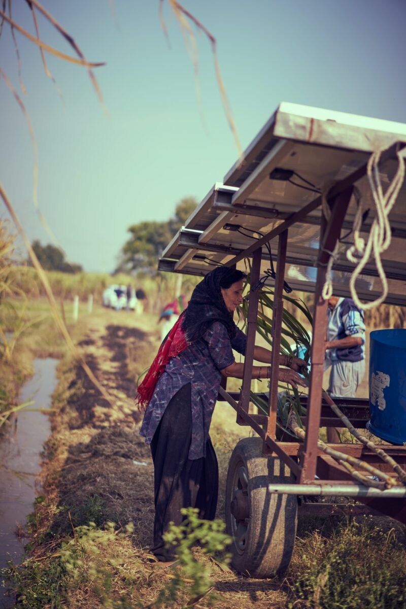 Solar panel in Uttar Pradesh, India by Ashwini Chaudhary, Pixabay
