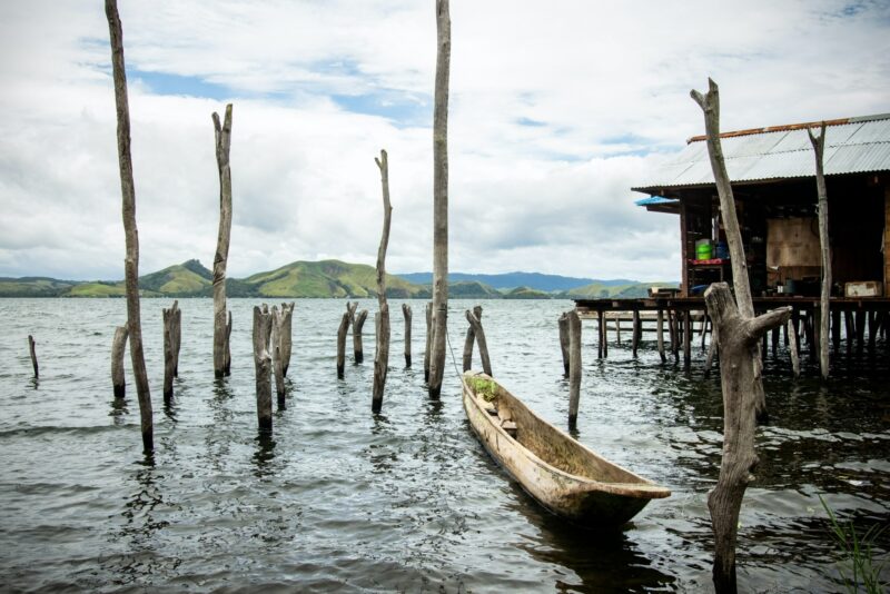 Papua new guinea