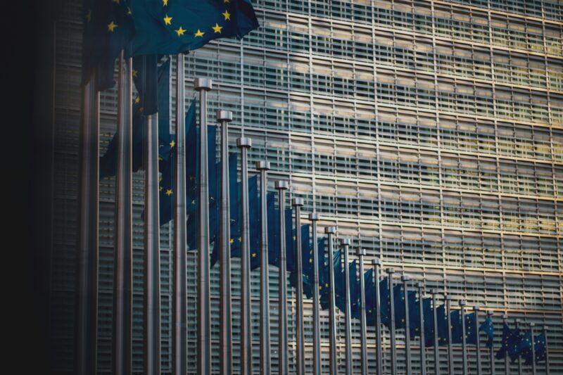 EU flags. Photo by Christian Lue on Unsplash