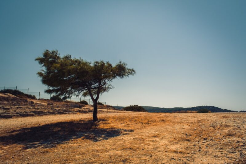 Global warming will make persistent heatwaves, droughts and extended rainy periods more likely..