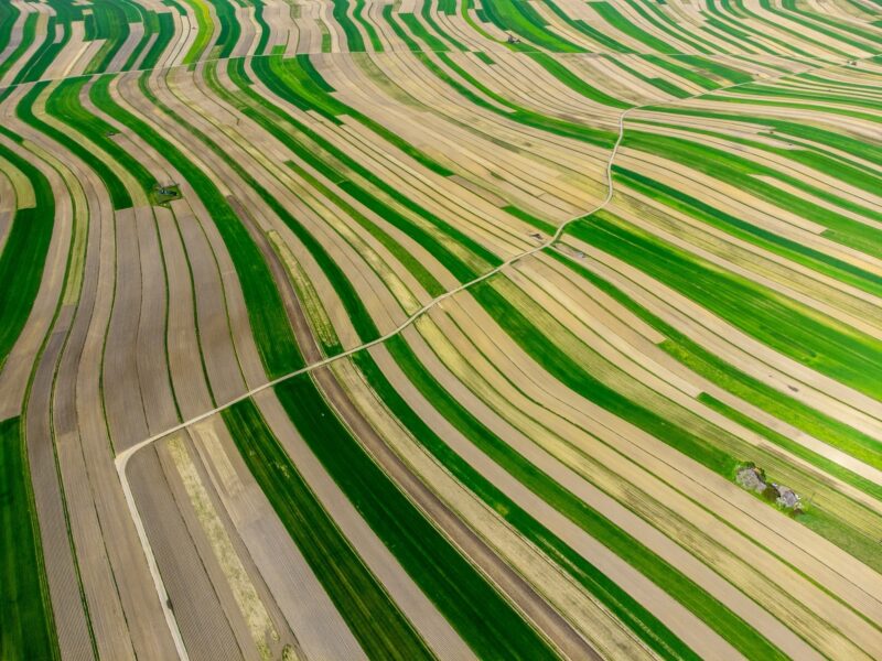 Plowed fields. Dawid Zawila, Unsplash