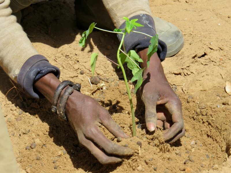Senegal is one of the Least Developed Countries we supported in the INDC formulation process.