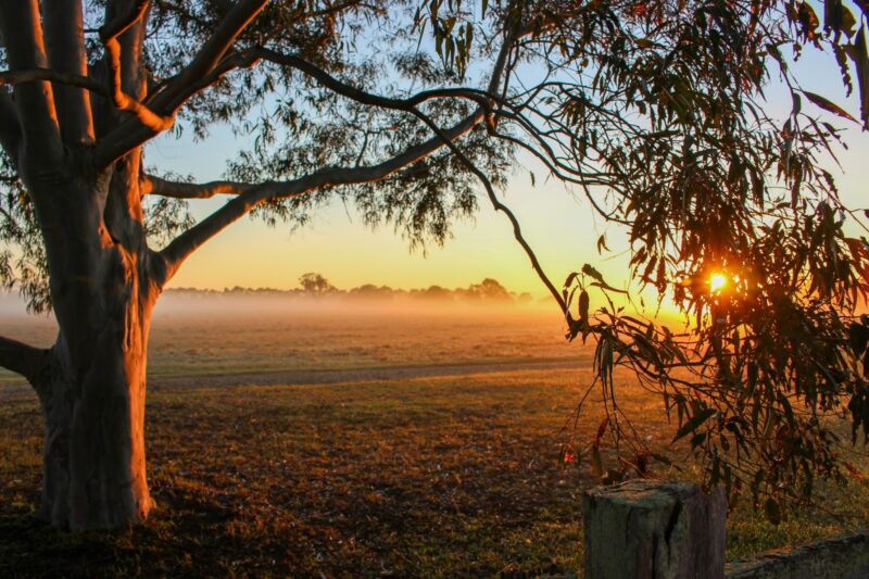 Australia could be responsible for 13% of Paris Agreement- compatible global CO2 emissions in 2030