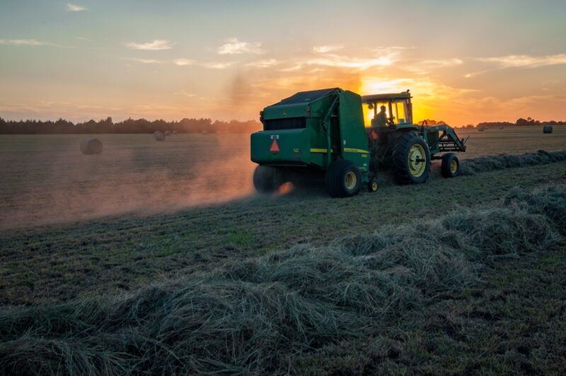 Making hay