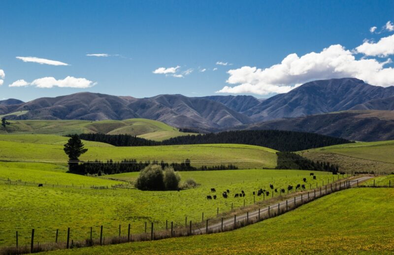 Farm Barn Cafe, Fairlie, New Zealand
