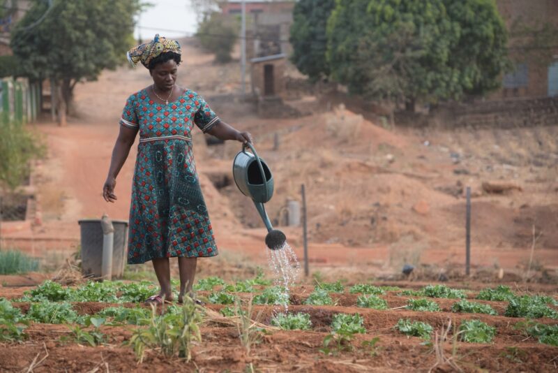 A woman watering her garden, Natitinqou, Bénin by Philippe Baret, unsplash