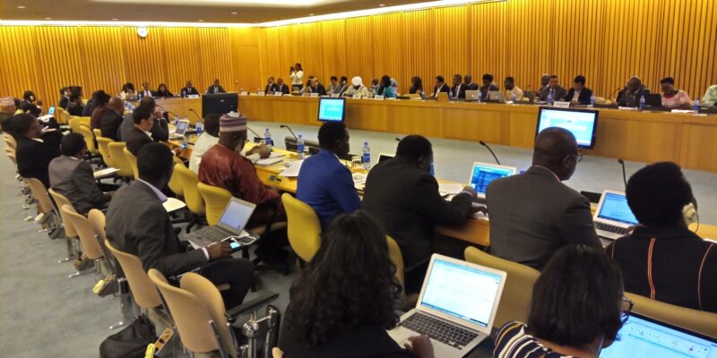 Plenary Addis-Ababa ©Climate Analytics gGmbH