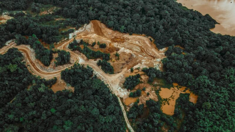 Choice of temperature variable used when modelling deforestation has a huge effect on temp change.