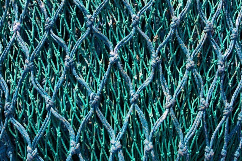 Fishing net