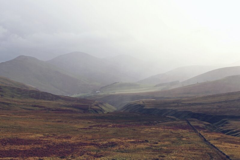 Peatlands are important carbon sinks