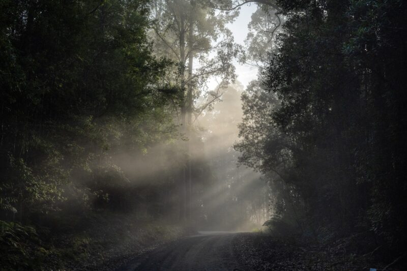 Image by xiSerge from Pixabay