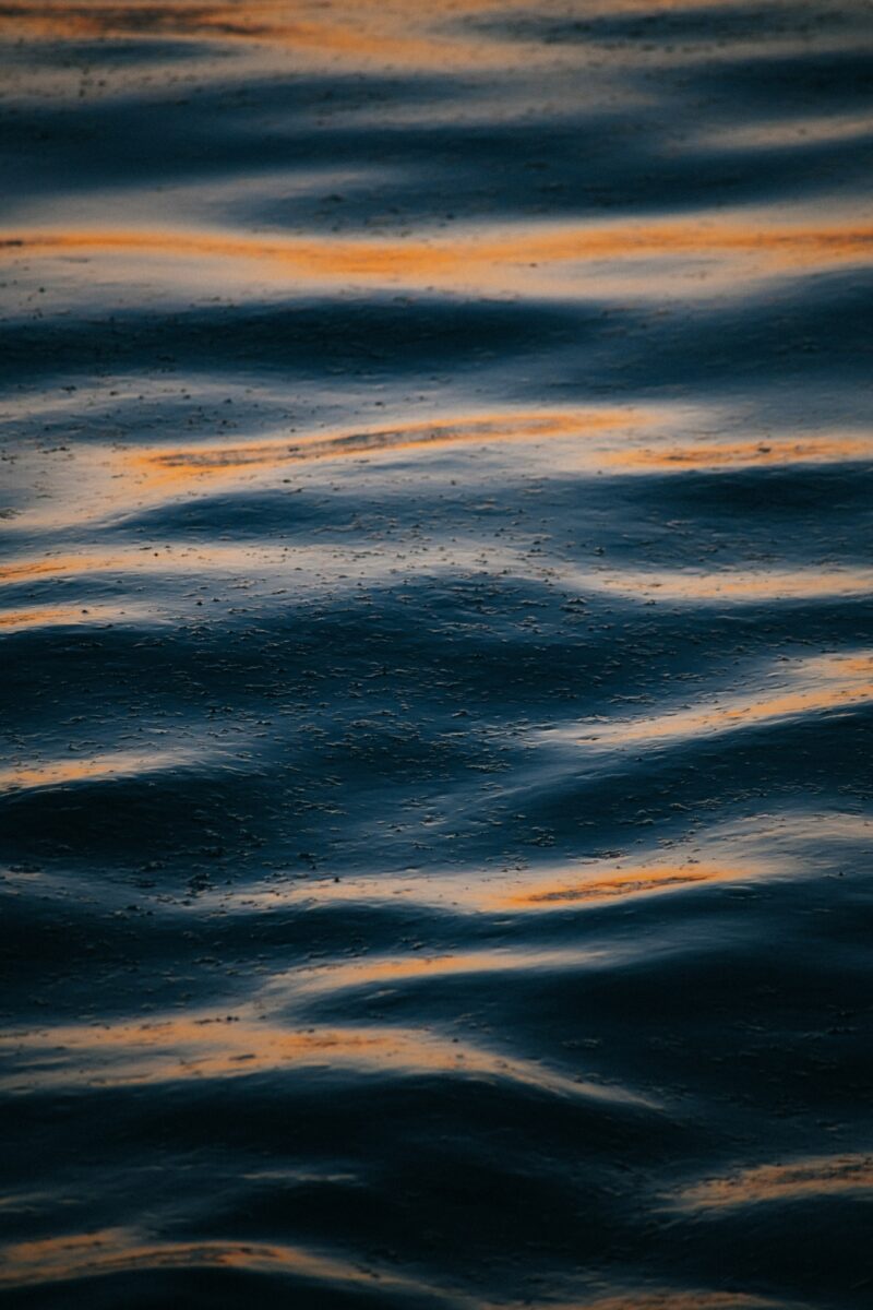 Photo by Tom Barrett on Unsplash