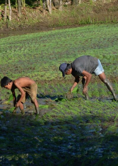 Social vulnerability to climate change: a review of concepts and evidence