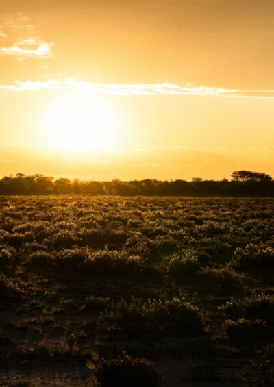 Global warming reaches 1°C above preindustrial, warmest in more than 11,000 years