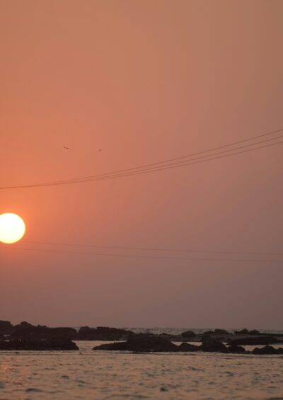 Humid heat exceeds human tolerance limits and causes mass mortality