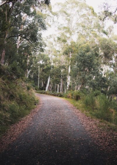Australian Energy "Green Paper" foresees continuing increase in coal use: undermines 2°C goal and heads towards 4°C world