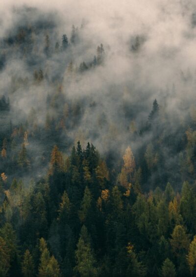 Geological Net Zero and the need for disaggregated accounting for carbon sinks