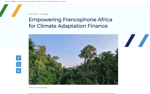 Empowering Francophone Africa for Climate Adaptation Finance