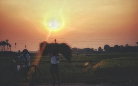 Developing countries need support adapting to deadly heat