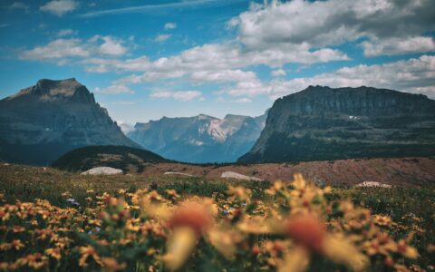 Country briefing: United States of America