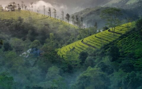 Nandhu kumar SMNA3 W Ch Tmo unsplash