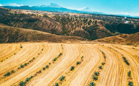 Country briefing: Mexico