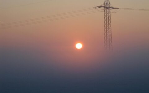 Pexels pixabay 53548