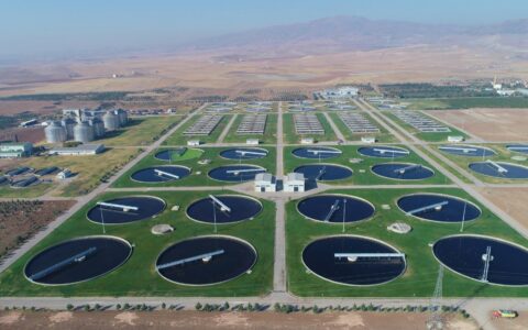 Country briefing: Türkiye