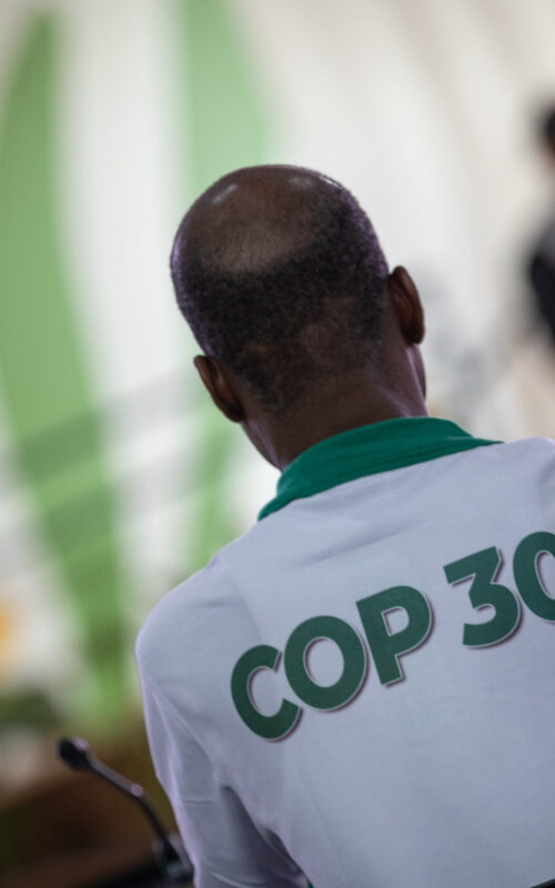 Bill Hare, CEO of Climate Analytics, comments at the end of COP30