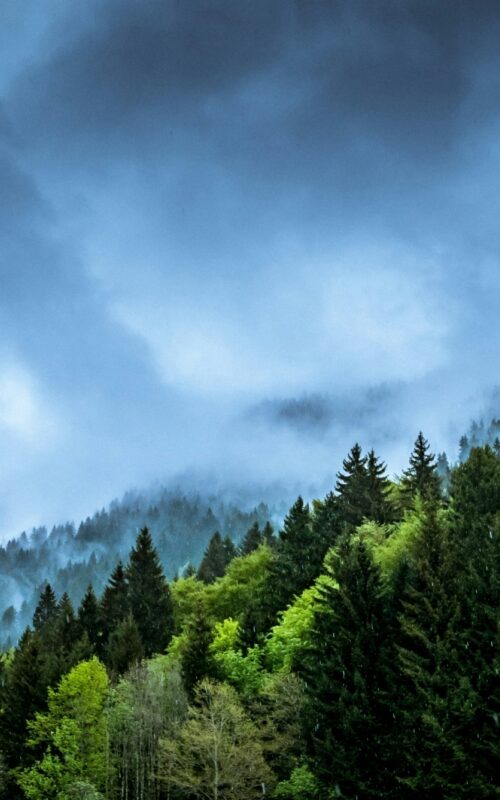 No sector on track to meet global climate goals, State of Climate Action 2025 finds
