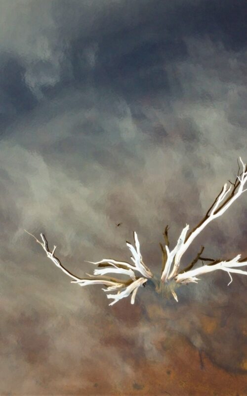 Projected warming almost unchanged for two years as governments push false solutions over climate action