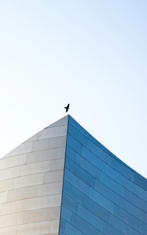 Jason leung Y4f0 Lw Nn8j0 unsplash
