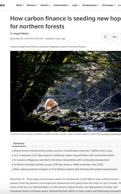 How carbon finance is seeding new hope for northern forests