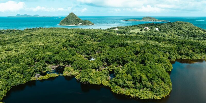 How SIDS can enhance the Global Goal on Adaptation indicator process