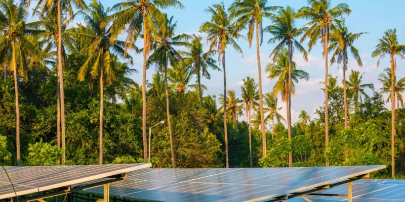 The detrimental cost of fossil fuel dependence in the Caribbean