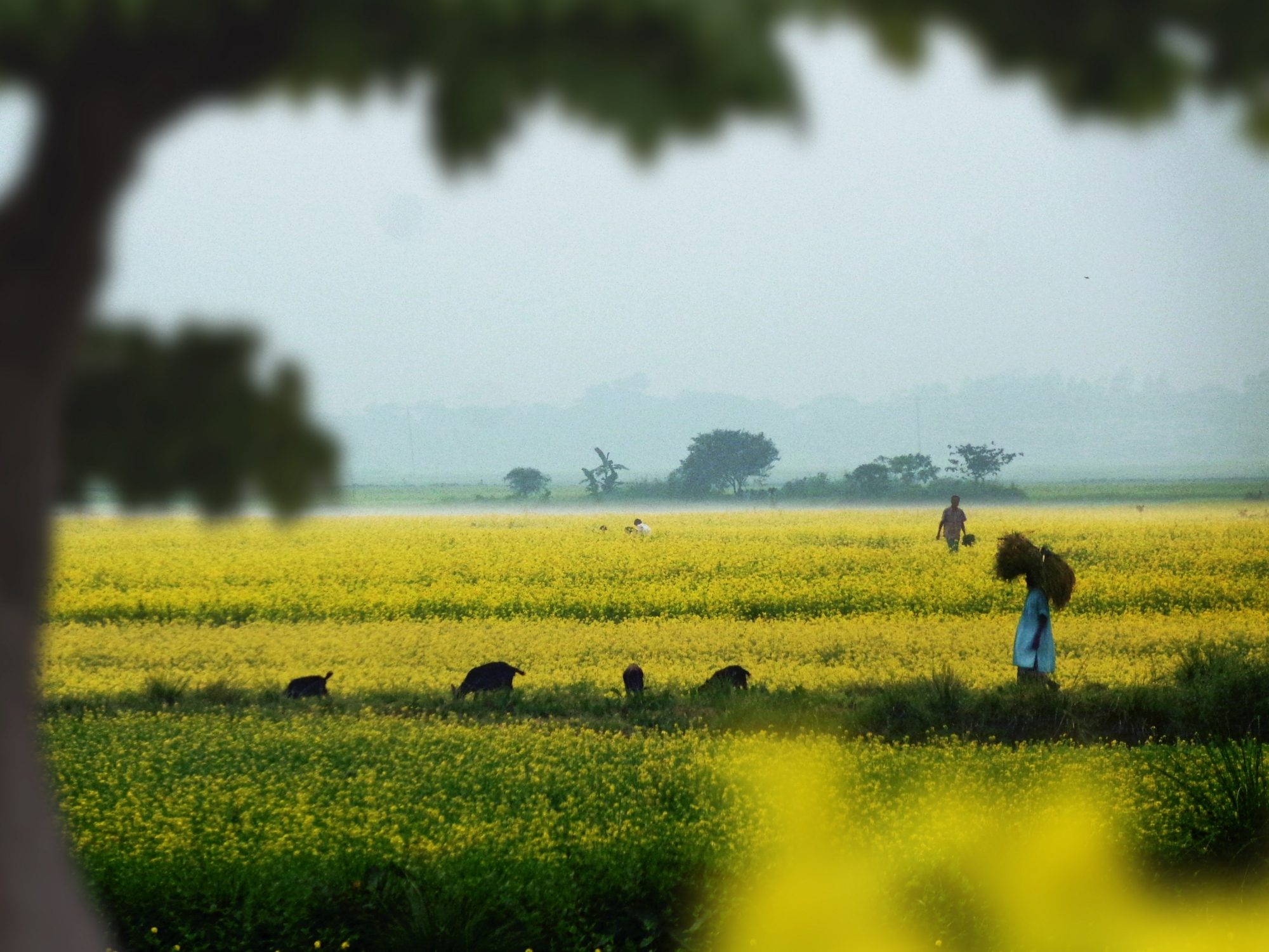 Loss and damage in South Asia: what COP28 needs to deliver for the region