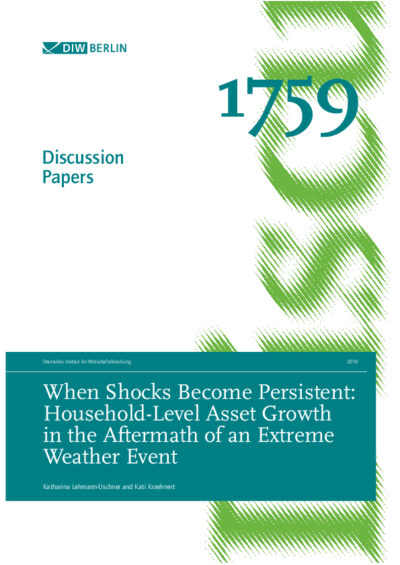 When Shocks Become Persistent: Household-Level Asset Growth in the Aftermath of an Extreme Weather Event