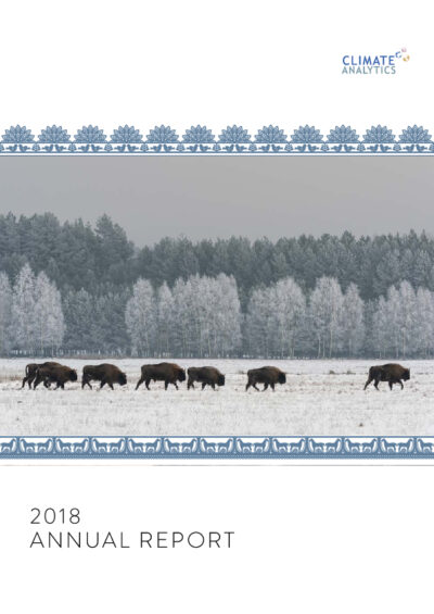 Annual report 2018
