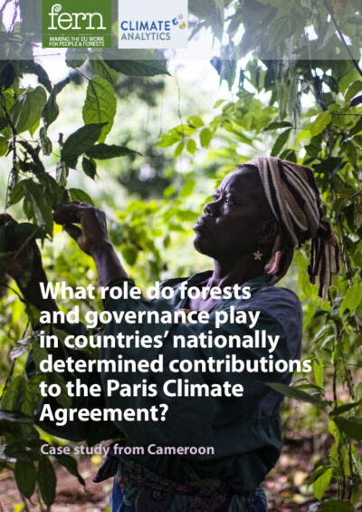 What role do forests and governance play in countries’ nationally determined contributions to the Paris Agreement? Case study from Cameroon
