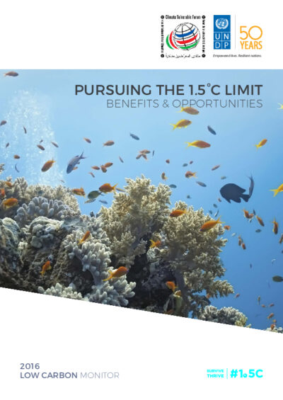 The low carbon monitor