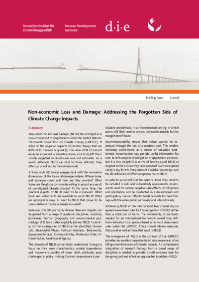 Non-economic Loss and Damage: addressing the forgotten side of climate change impacts