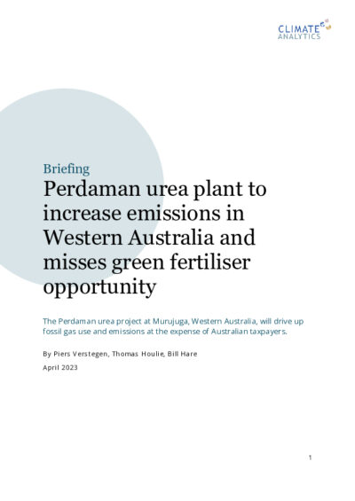 Perdaman urea plant to increase emissions in Western Australia and misses green fertiliser opportunity