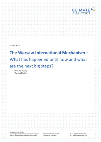 The Warsaw International Mechanism - what has happened until now and what are the next big steps?