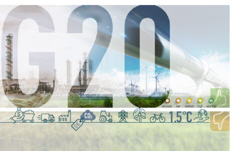 G20 Brown to Green Report 2019