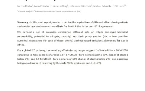 Analysis of fair mitigation contribution for South Africa